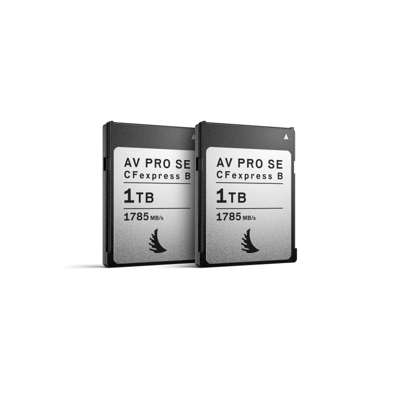 Angelbird AV PRO CFexpress SE 1TB Type B Match Pack - dwupak