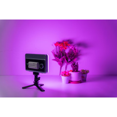 Viltrox lampa LED Sprite 15C