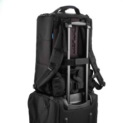 Tenba Cineluxe v2 Backpack 21 - Black