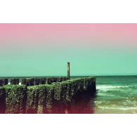 KONO Film MOJO 200