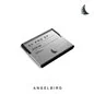 Angelbird AV PRO CFast SE 256GB